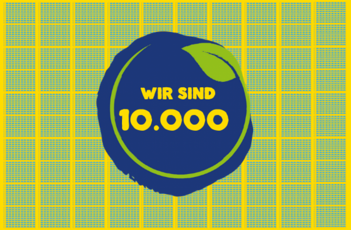 10000 e-Autos in Niederösterreich
