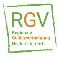 RGV Logo